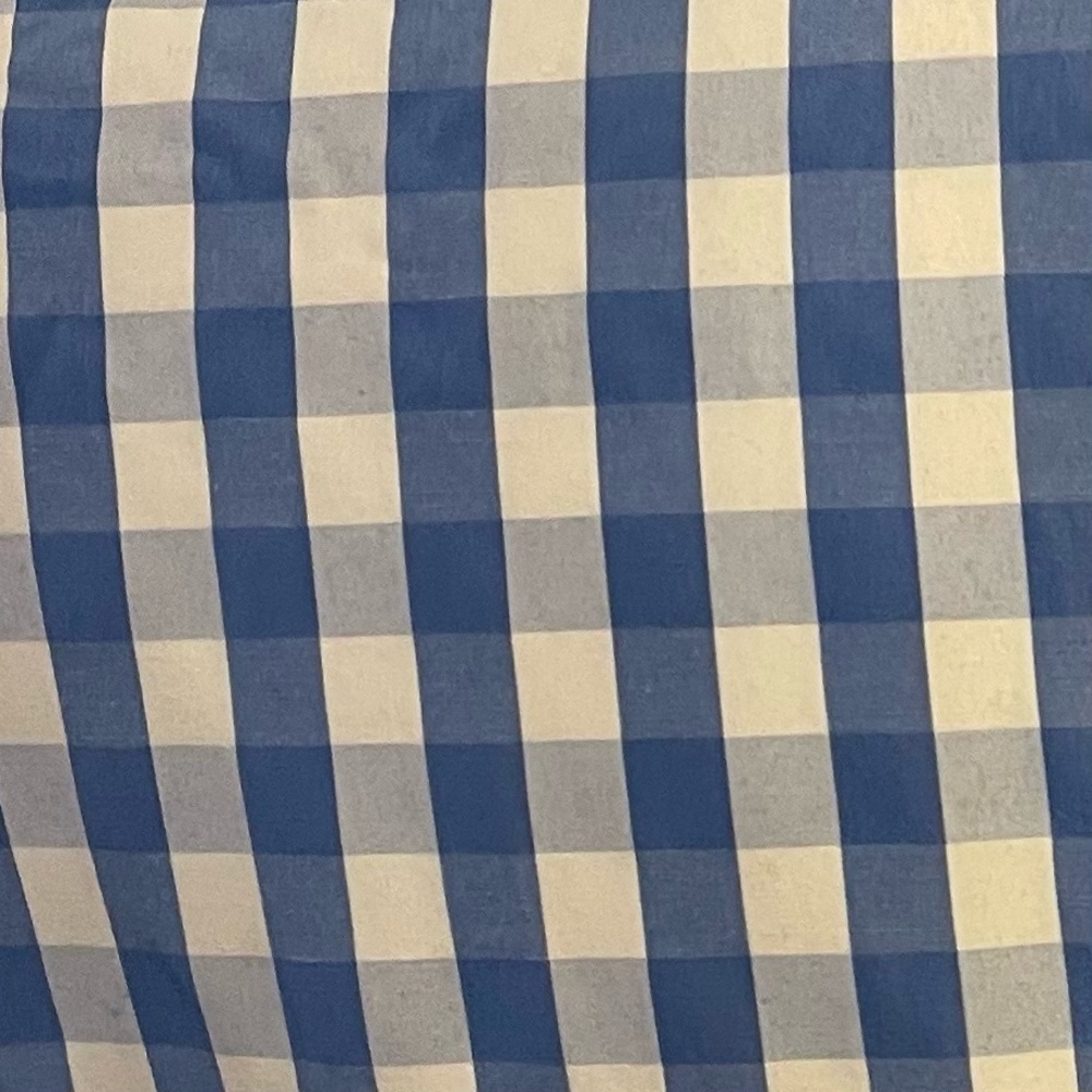 Thakoon Collective Blue Gingham Dress - Picture 13 of 16